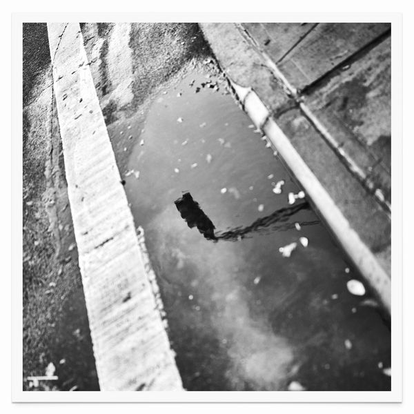 Tirage seul — Tirage d'art noir et blanc Rough Street 9, New York City, PRLXY